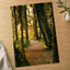 Pacific Northwest Rainforest by Hans Photo Print Wall Decor
