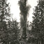 Torpedoing an Oil Well, Bradford PA in 1904 vintage photo print