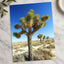 Joshua National Park Photo Print Wall Decor