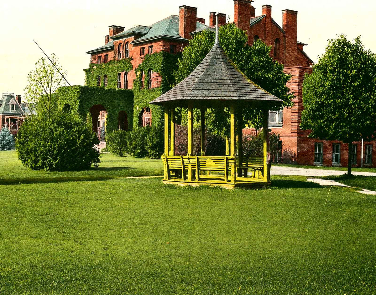 Agricultural & Mechanical College, Raleigh vintage print