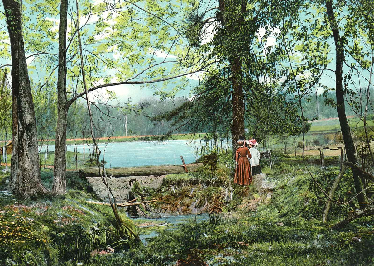 Swan Lake, Overton Park, Memphis, TN in 1905 vintage print