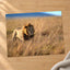 Lion Portrait in Maasai Mara, Kenya Photo Print Wall Decor