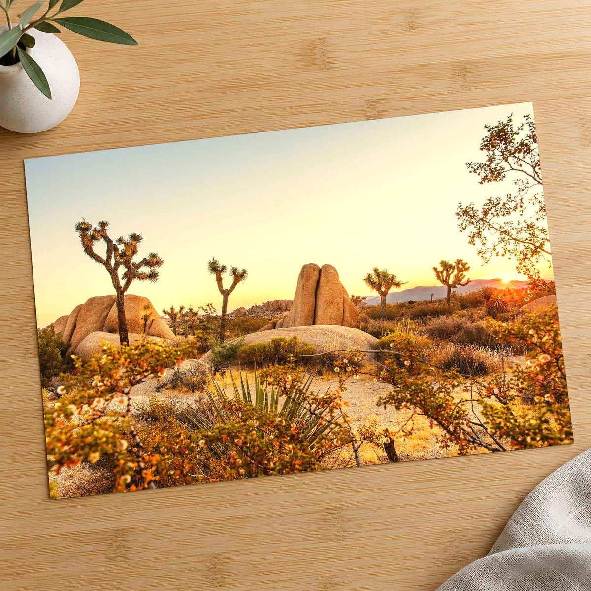 Joshua Tree National Park in California by Joshua Earle Photo Print Wall Decor