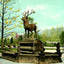 Fountain City Reservoir, Reading PA in 1907 vintage print