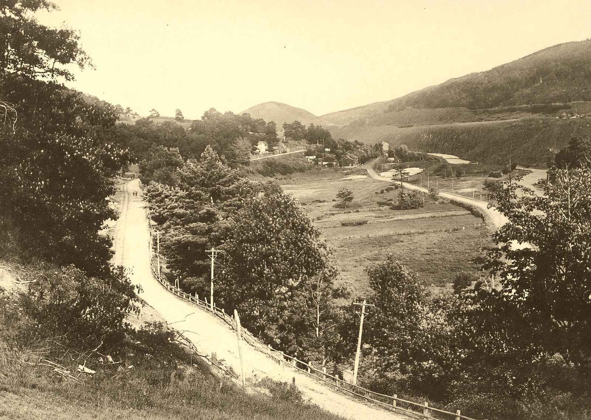 Homesville from Woodland Park, Ashland 1906 vintage photo print