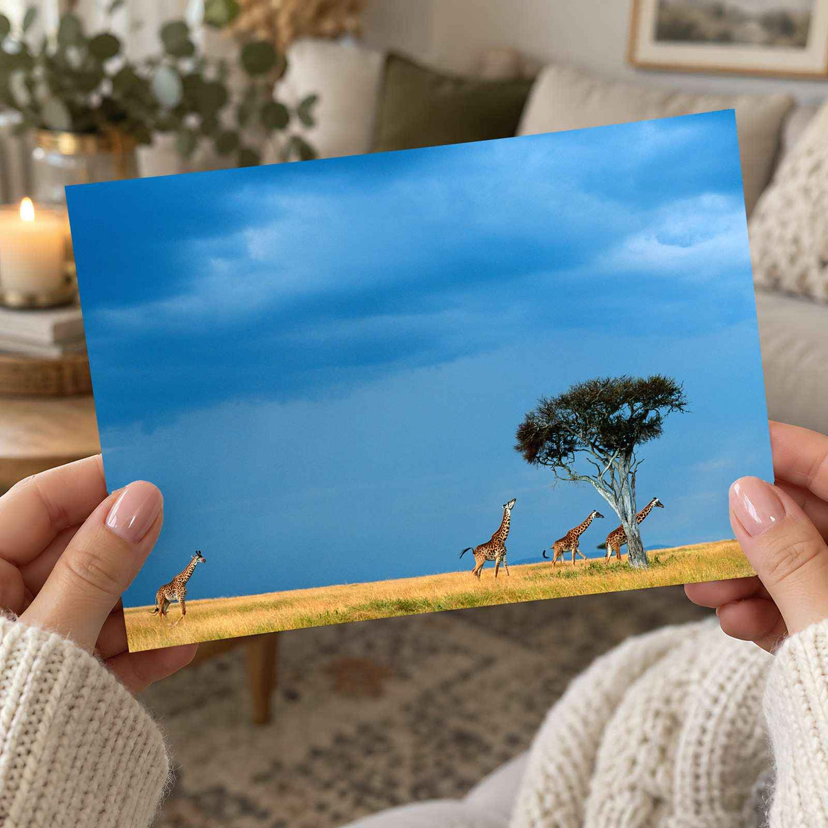 Herd of Giraffe Walking Across Savanna Photo Print Wall Decor
