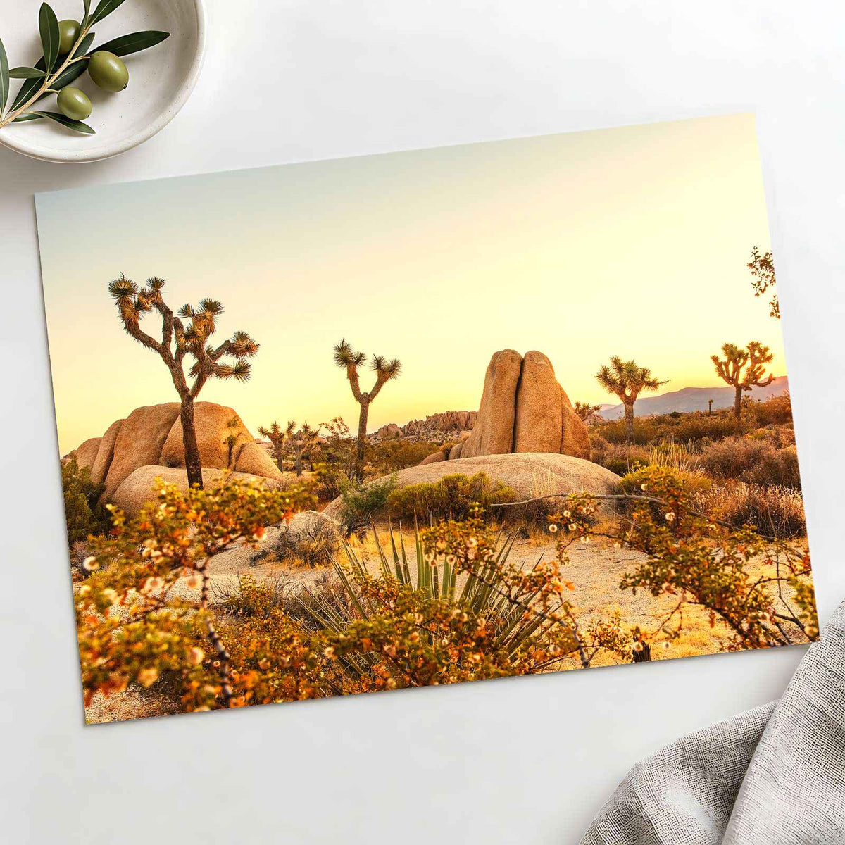 Joshua Tree National Park in California by Joshua Earle Photo Print Wall Decor