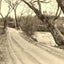 A Mountain Drive, Asheville, NC in 1906 photo print