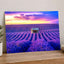 Beautiful Lavender Field at Sunset Photo Print Wall Decor