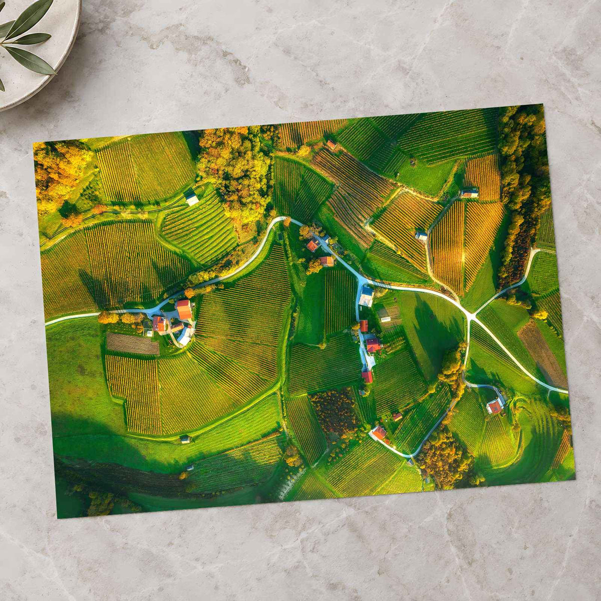 Vineyards from Above by Ales Krivec Photo Print Wall Decor