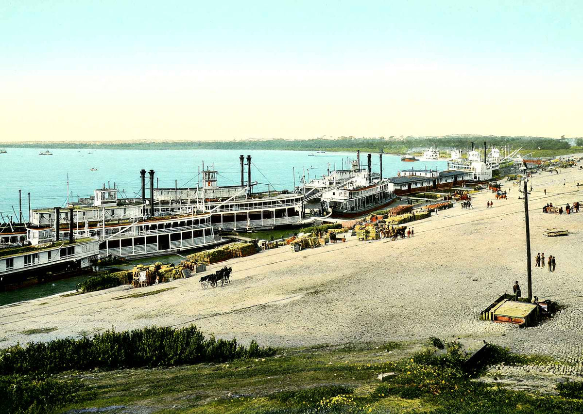 Memphis Wharf, Memphis, TN in 1905 vintage print