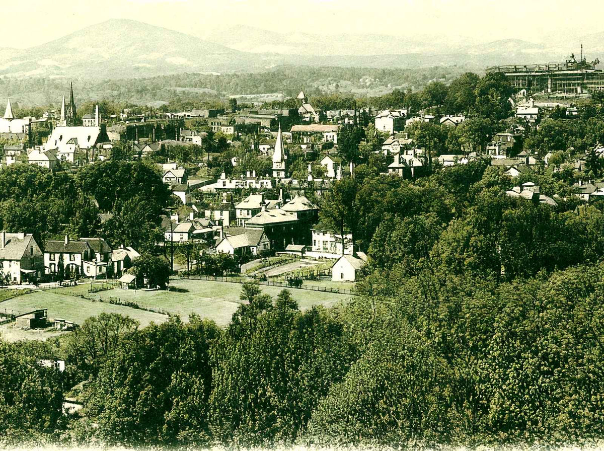 Bird's Eye View, Asheville, NC in 1905 vintage print