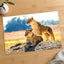 Two Lionesses in Savanna Photo Print Wall Decor