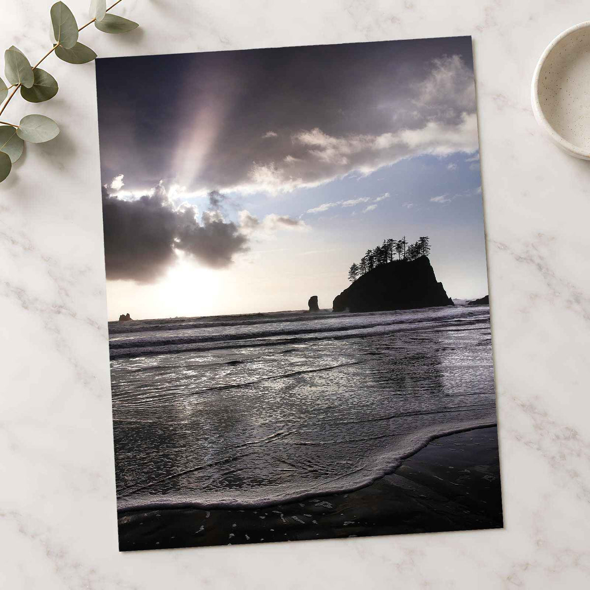 Beach in Olympic National Park by Joshua Earle Photo Print Wall Decor