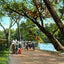 Lover's Bridge on the Swannanoa, Asheville vintage print