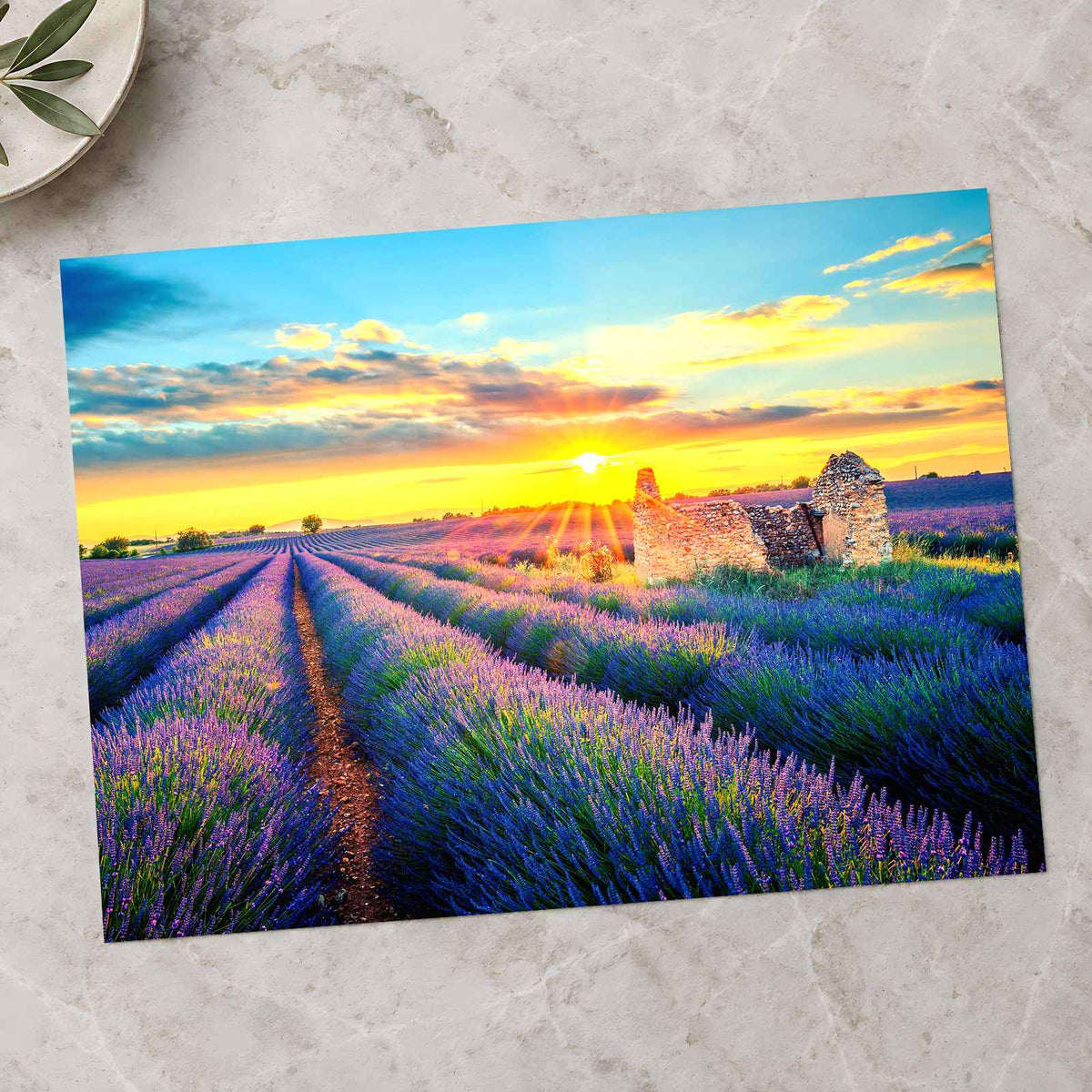French Lavender Field at Sunset Photo Print Wall Decor