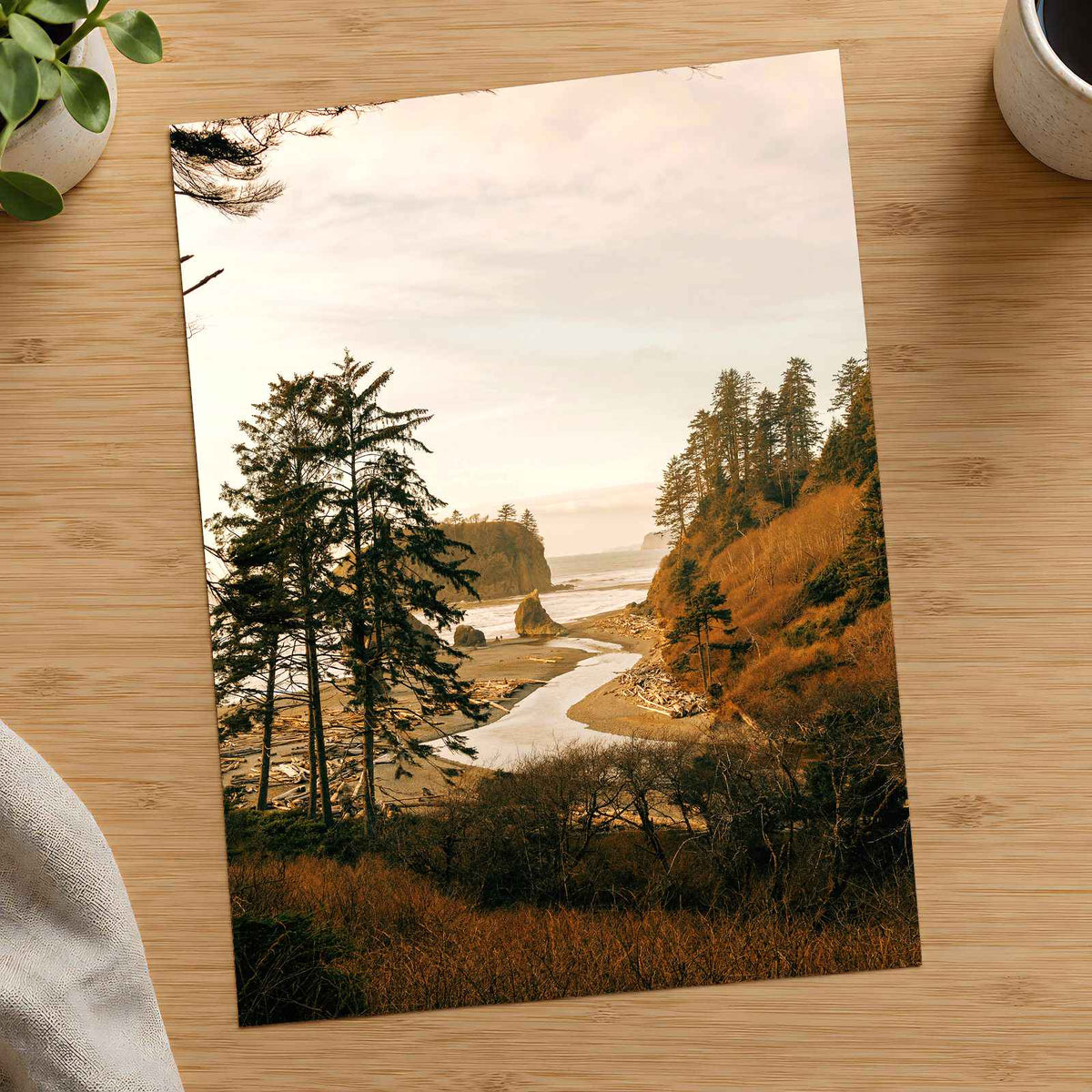 Ruby Beach in Forks, Washington by Hans Photo Print Wall Decor
