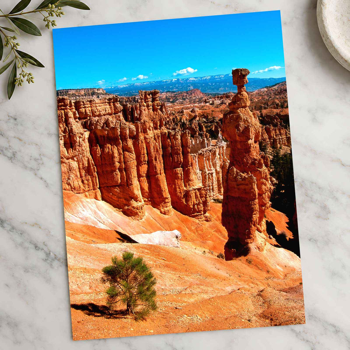 Bryce Canyon in Utah Photo Print Wall Decor