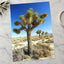 Joshua National Park Photo Print Wall Decor
