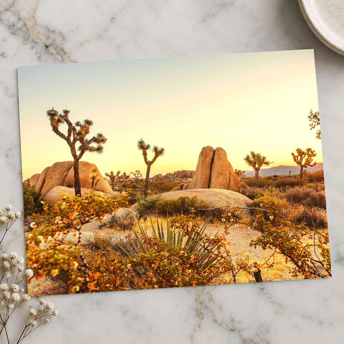 Joshua Tree National Park in California by Joshua Earle Photo Print Wall Decor