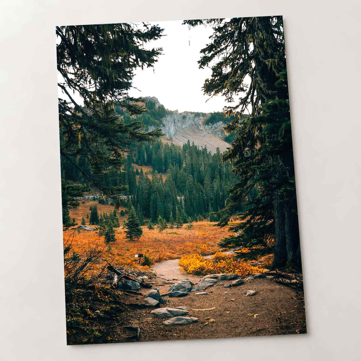 Mount Rainier National Park in Washington by Josh Hild Photo Print Wall Decor