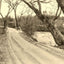 A Mountain Drive, Asheville, NC in 1906 photo print