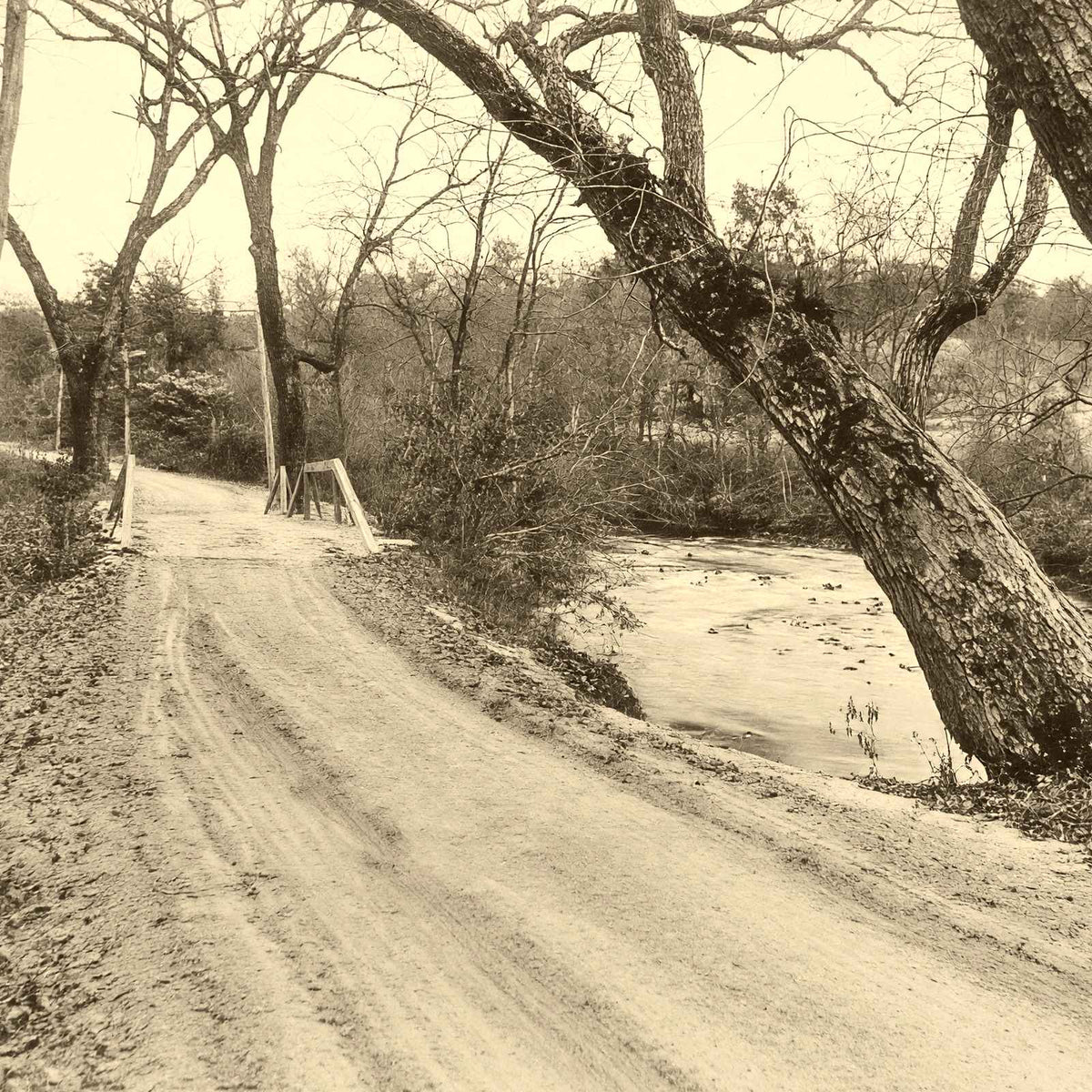 A Mountain Drive, Asheville, NC in 1906 photo print