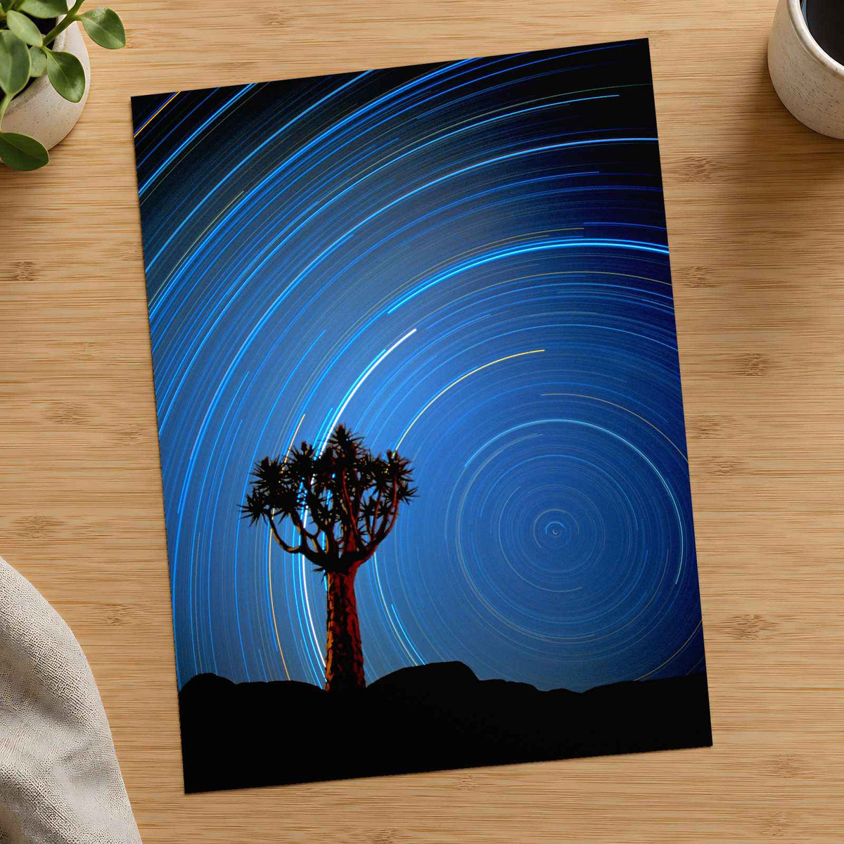 Joshua Tree with Spinning Stars Exposure Photo Print Wall Decor