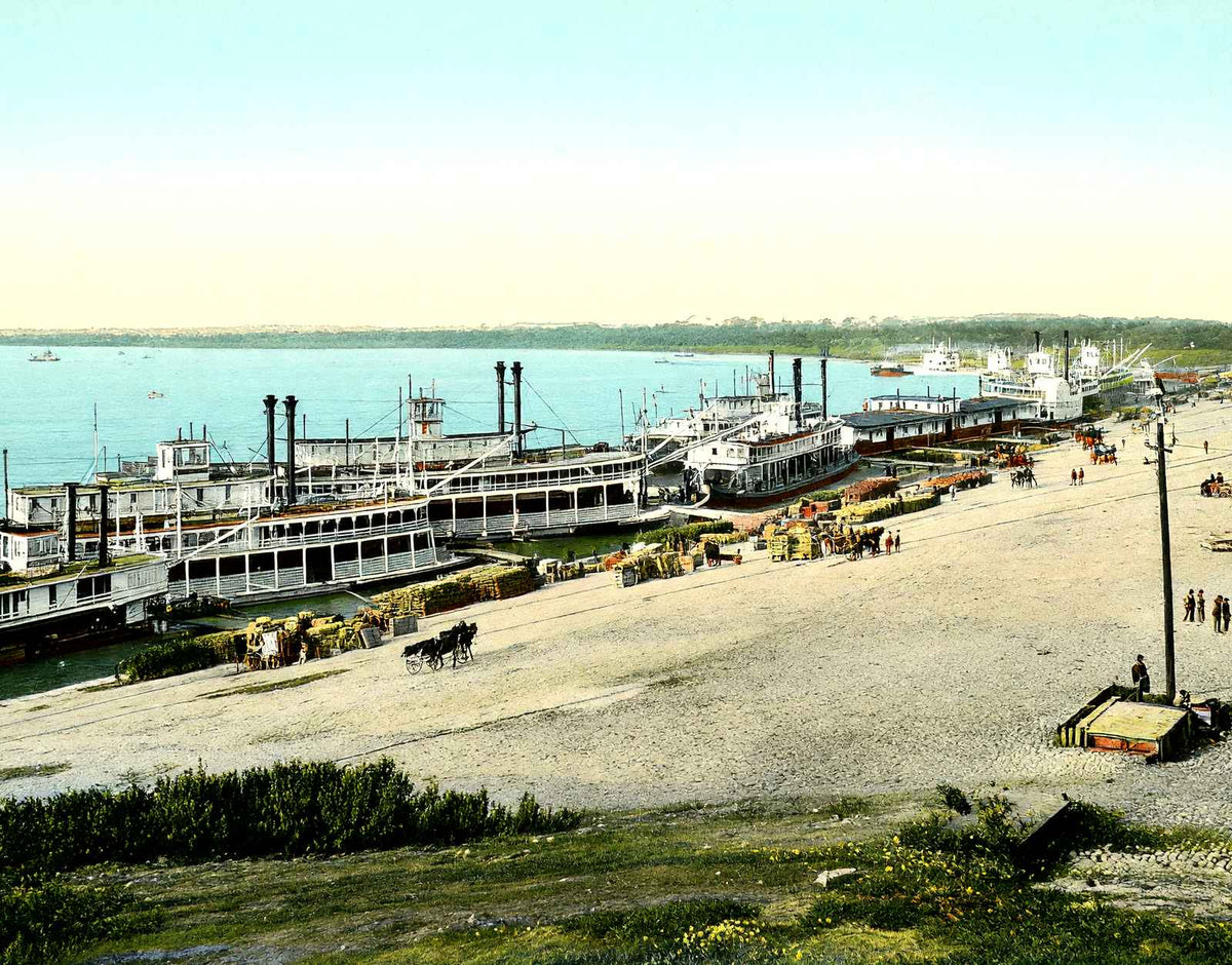 Memphis Wharf, Memphis, TN in 1905 vintage print