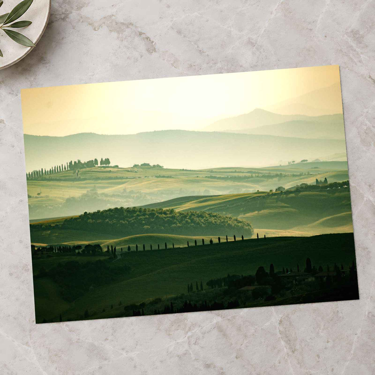 Vineyards in Tuscany, Italy by Sylwia Bartyzel Photo Print Wall Decor