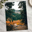 Mount Rainier National Park in Washington by Josh Hild Photo Print Wall Decor