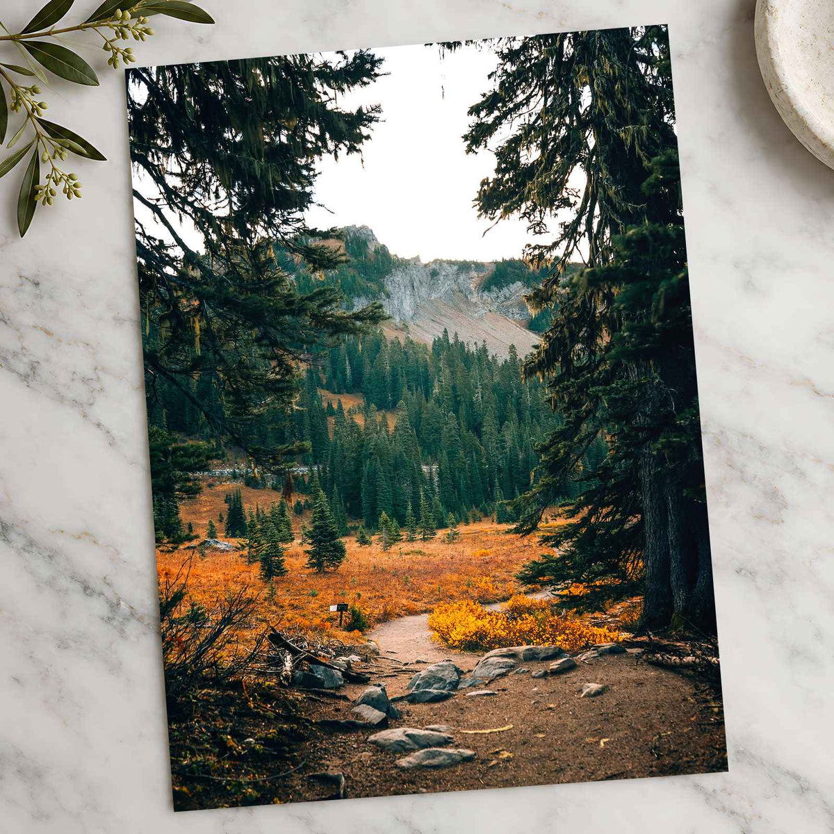 Mount Rainier National Park in Washington by Josh Hild Photo Print Wall Decor
