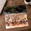 Zebras Drinking in Namibia Photo Print Wall Decor