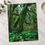 Trees and Ferns in Olympic National Park by Joshua Earle Photo Print Wall Decor