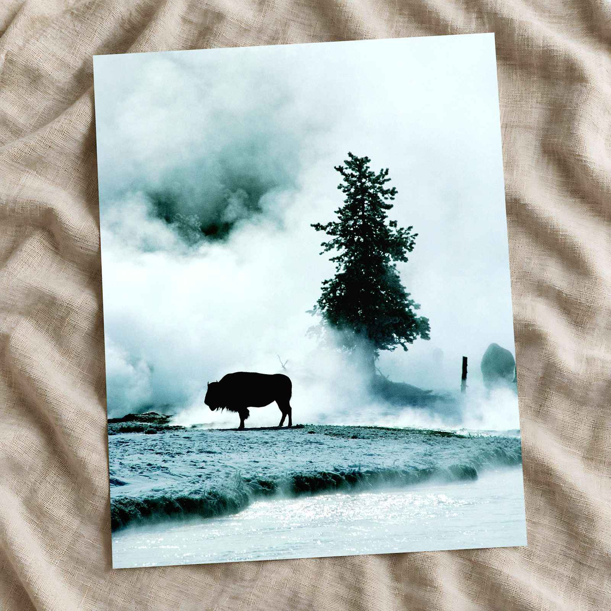 Yellowstone National Park in Wyoming Photo Print Wall Decor