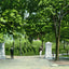 University of Tennessee Gateway, Knoxville TN vintage print