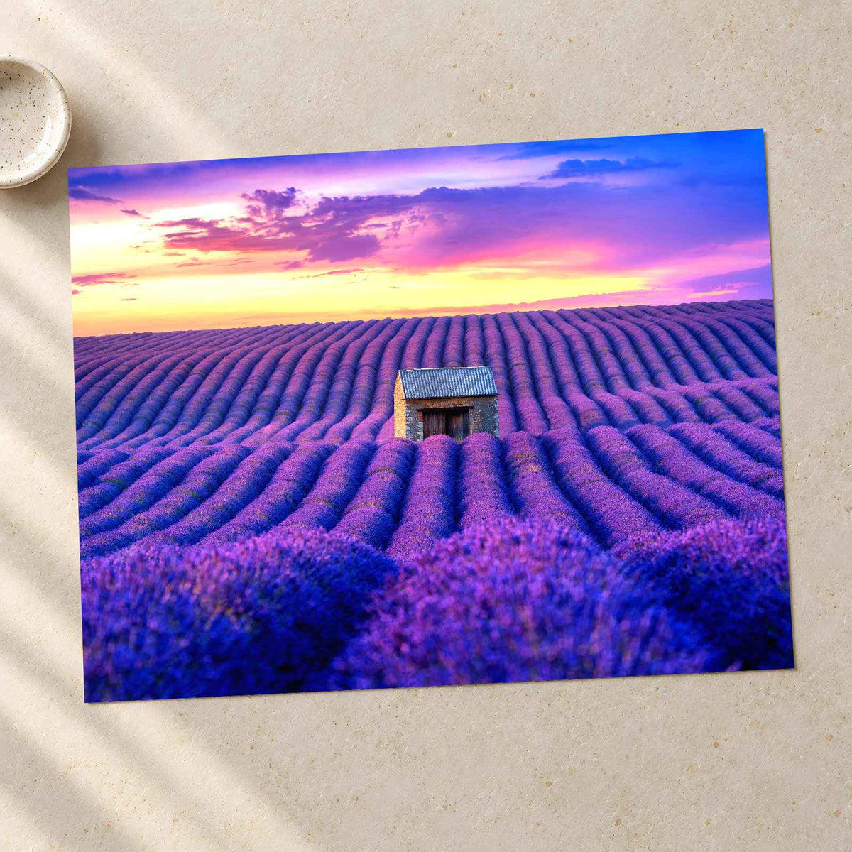 Beautiful Lavender Field at Sunset Photo Print Wall Decor