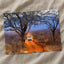 African Safari Truck in Kenya Photo Print Wall Decor