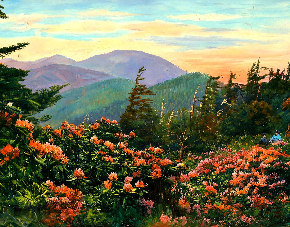 Mt Mitchell, Asheville, NC in 1906 art print