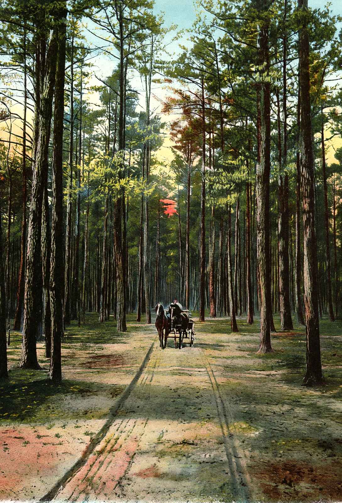 Cathedral Drive, Lakewood, NJ in 1905 vintage print