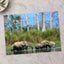 Herd of Elephants in India Photo Print Wall Decor