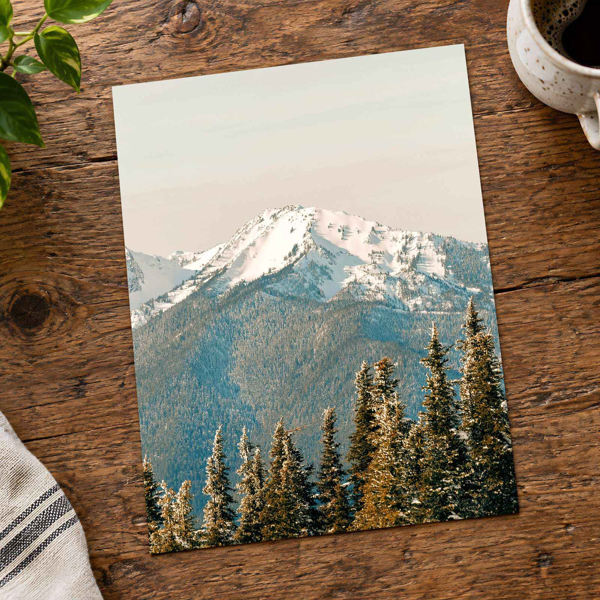 Snowy Mountain Peak Olympic National Park by Hans Photo Print Wall Decor