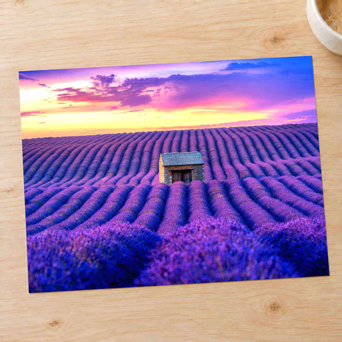 Beautiful Lavender Field at Sunset Photo Print Wall Decor