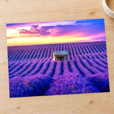 Beautiful Lavender Field at Sunset Photo Print Wall Decor