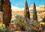 Garden of Gethsemane, Jerusalem art print