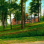 Female College, Greensboro, NC in 1906 art print