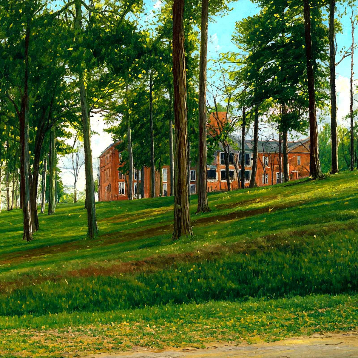 Female College, Greensboro, NC in 1906 art print