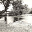 A Mountain Stream, Asheville NC in 1905 vintage print
