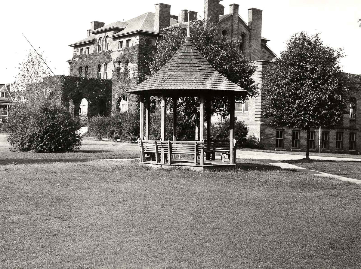 Agricultural & Mechanical College, Raleigh NC photo print
