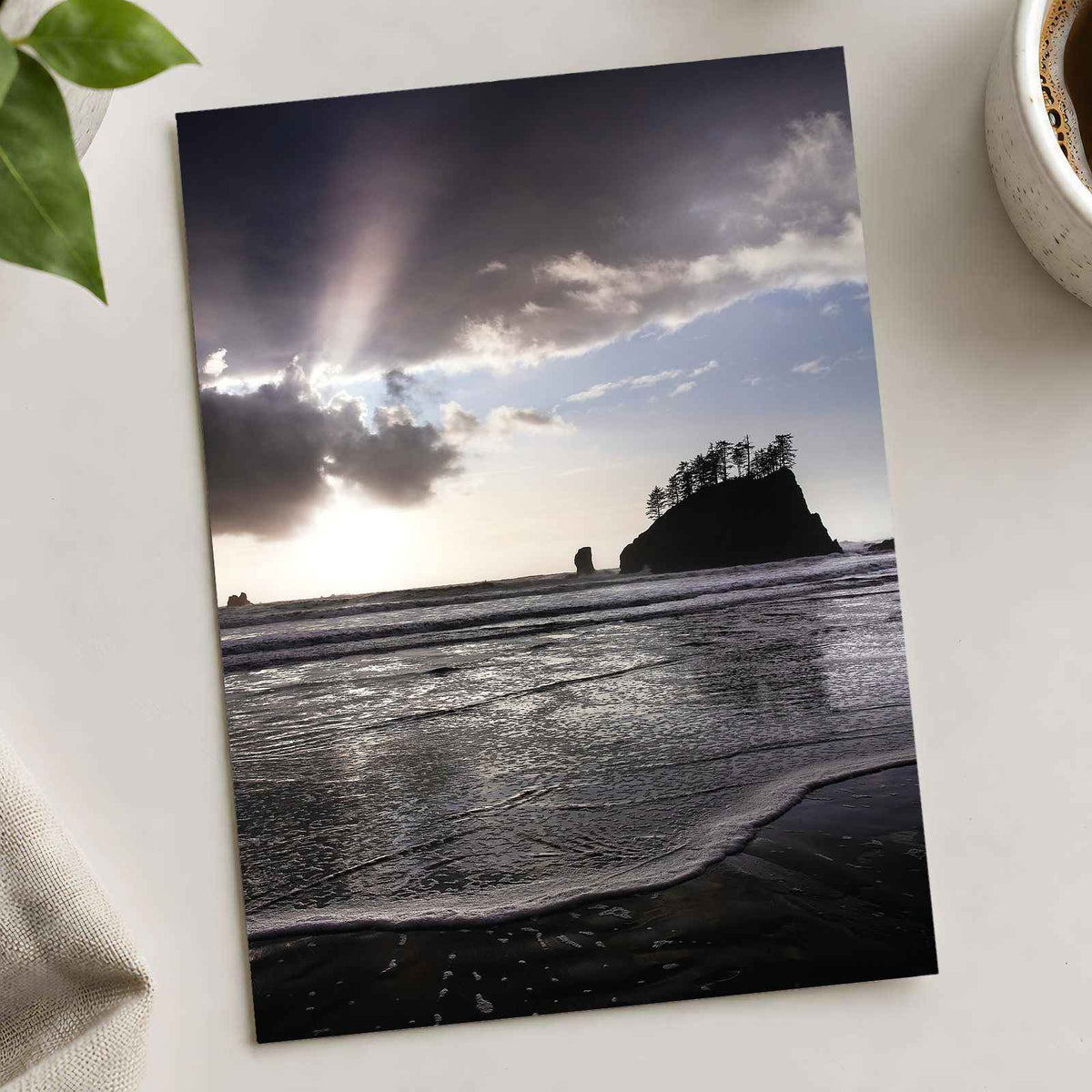 Beach in Olympic National Park by Joshua Earle Photo Print Wall Decor